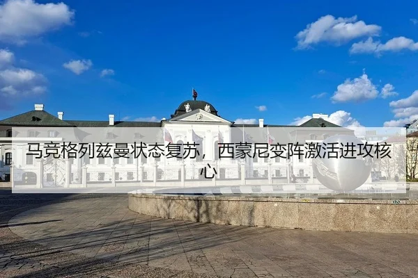 ma-jing-ge-lie-zi-man-zhuang-tai-fu-su-xi-meng-ni-bian-zhen-ji-huo-jin-gong-he-xin-3-512.jpg