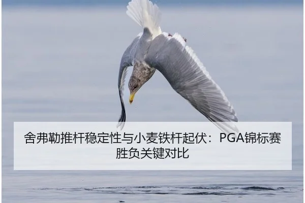 she-fu-lei-tui-gan-wen-ding-xing-yu-xiao-mai-tie-gan-qi-fu-jin-biao-sai-sheng-fu-guan-jian-dui-bi-2-205.jpg
