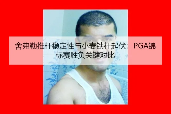 舍弗勒推杆稳定性与小麦铁杆起伏：PGA锦标赛胜负关键对比