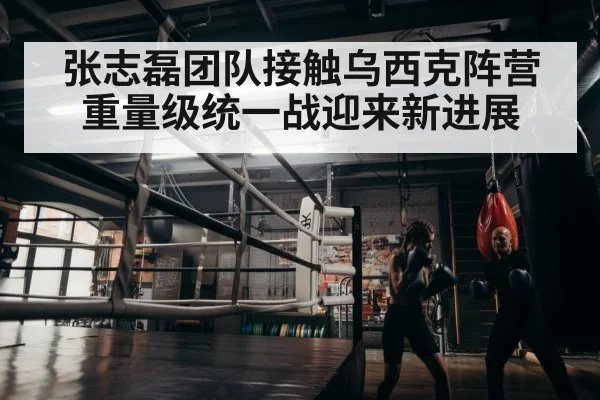 boxer training