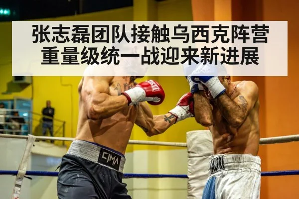 heavyweight boxing