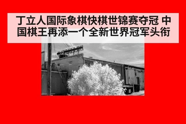 丁立人国际象棋快棋世锦赛夺冠 中国棋王再添一个全新世界冠军头衔